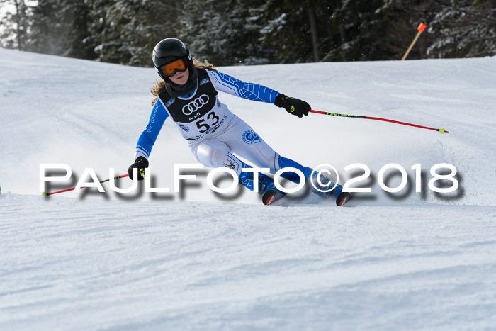 Starnberger Skikreismeisterschaft 2018