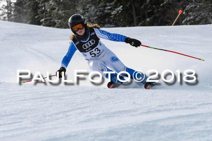 Starnberger Skikreismeisterschaft 2018