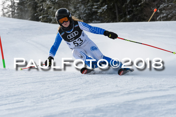 Starnberger Skikreismeisterschaft 2018