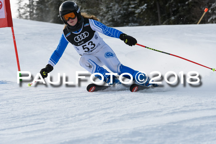 Starnberger Skikreismeisterschaft 2018
