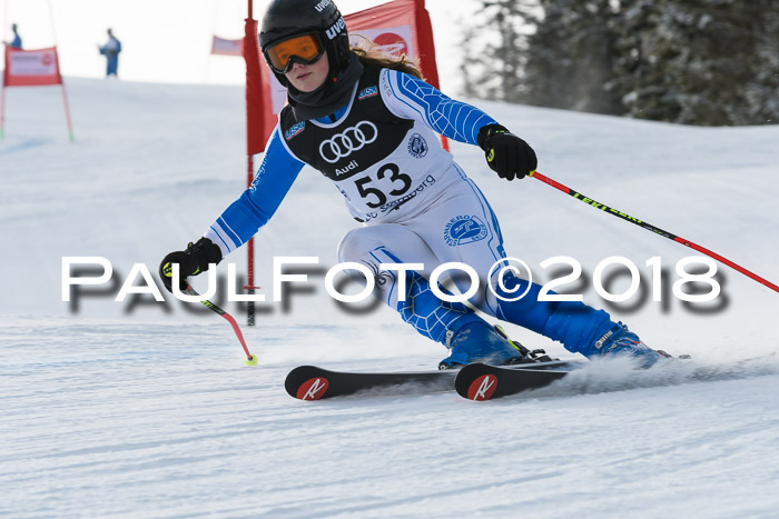 Starnberger Skikreismeisterschaft 2018