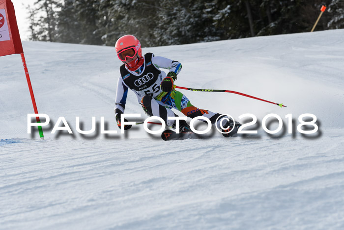 Starnberger Skikreismeisterschaft 2018