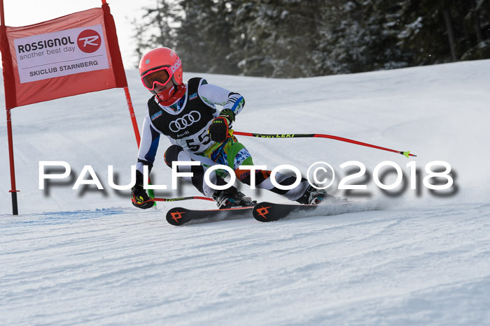 Starnberger Skikreismeisterschaft 2018