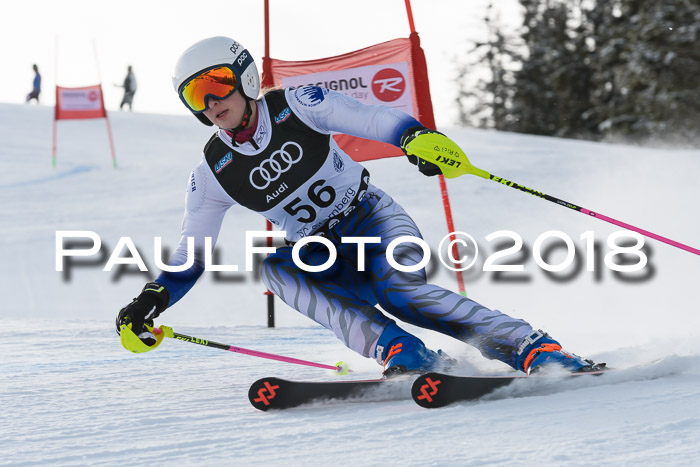 Starnberger Skikreismeisterschaft 2018