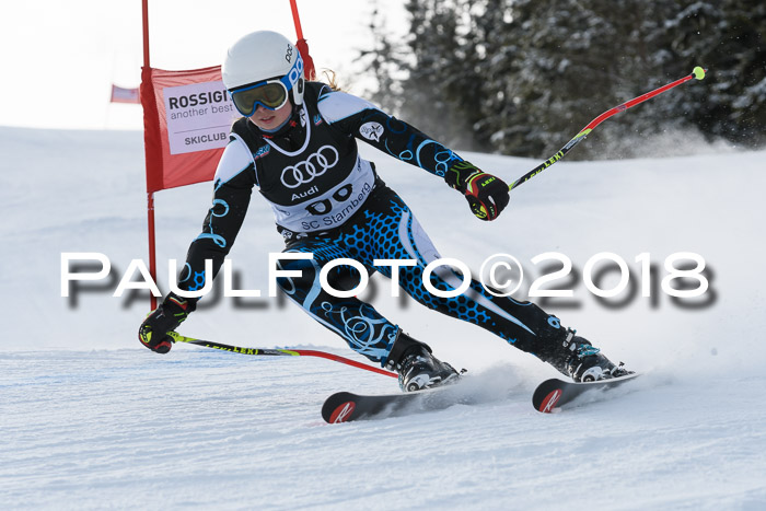 Starnberger Skikreismeisterschaft 2018
