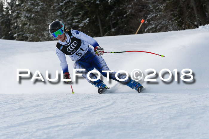 Starnberger Skikreismeisterschaft 2018