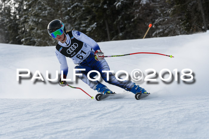 Starnberger Skikreismeisterschaft 2018