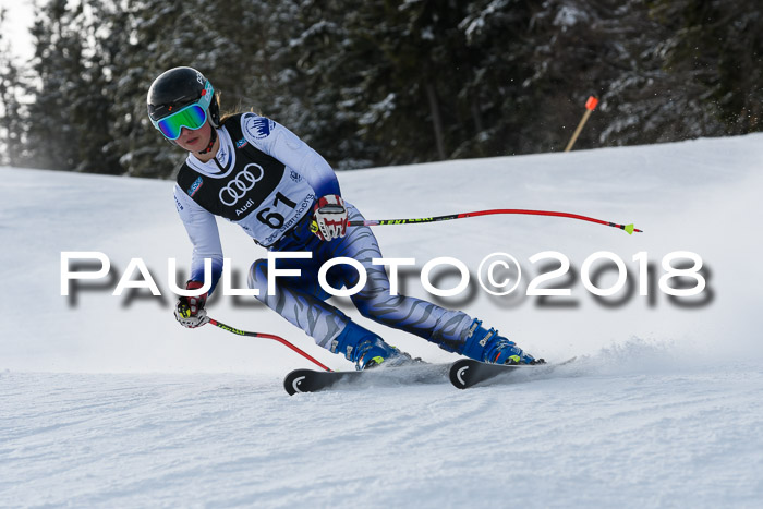 Starnberger Skikreismeisterschaft 2018