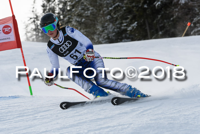 Starnberger Skikreismeisterschaft 2018