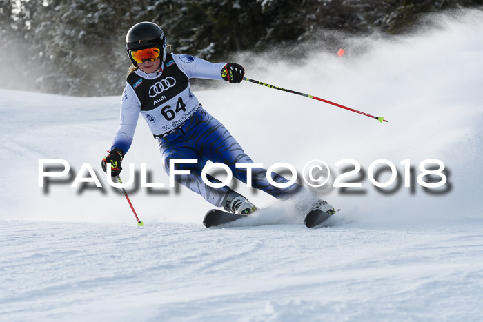 Starnberger Skikreismeisterschaft 2018