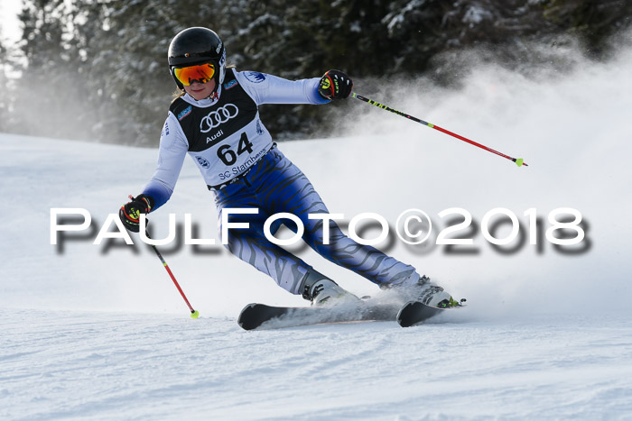 Starnberger Skikreismeisterschaft 2018