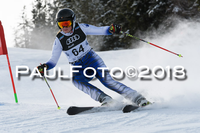 Starnberger Skikreismeisterschaft 2018