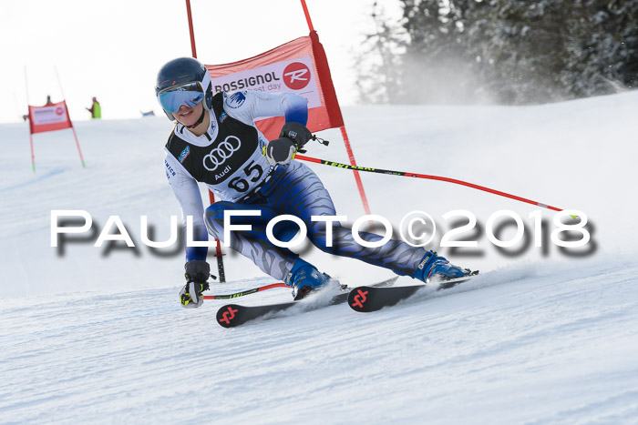 Starnberger Skikreismeisterschaft 2018