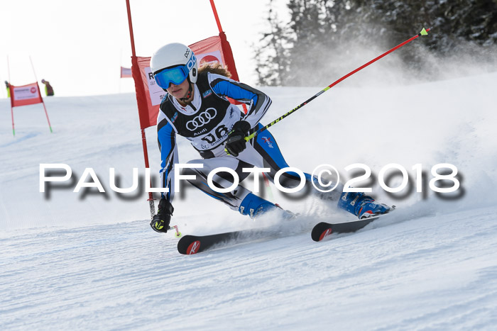 Starnberger Skikreismeisterschaft 2018