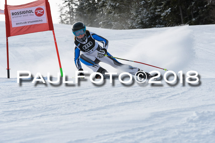 Starnberger Skikreismeisterschaft 2018