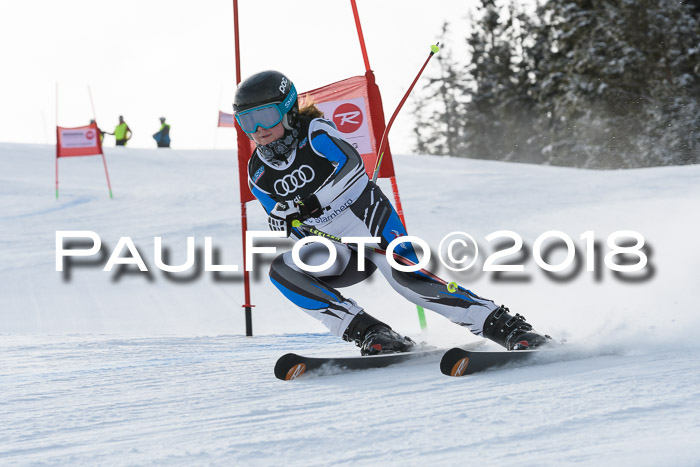 Starnberger Skikreismeisterschaft 2018