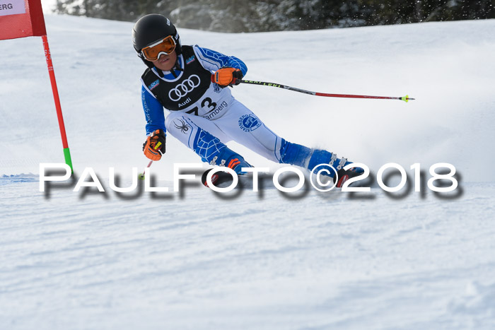 Starnberger Skikreismeisterschaft 2018