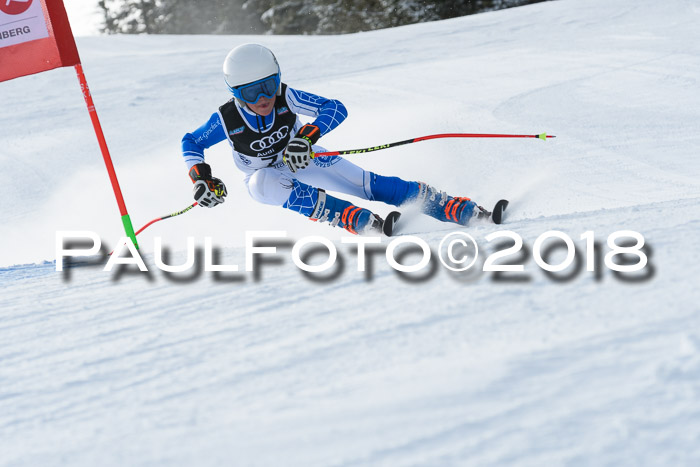 Starnberger Skikreismeisterschaft 2018