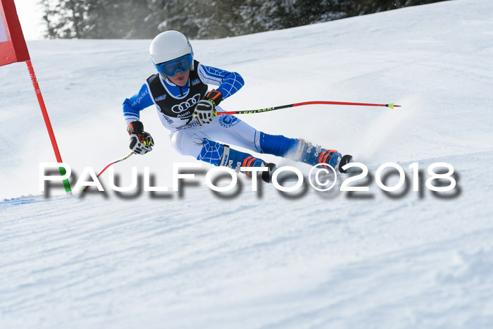 Starnberger Skikreismeisterschaft 2018