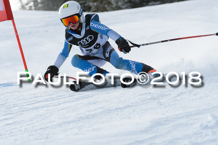 Starnberger Skikreismeisterschaft 2018