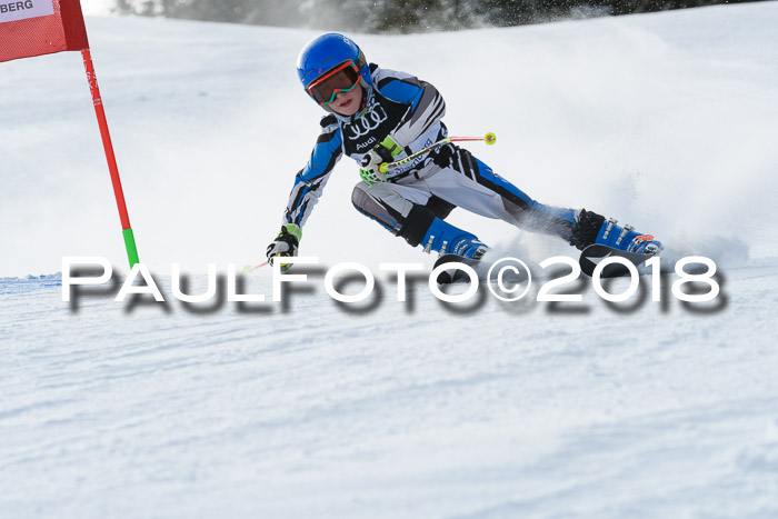 Starnberger Skikreismeisterschaft 2018