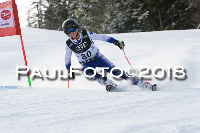 Starnberger Skikreismeisterschaft 2018