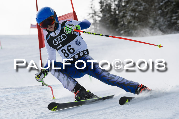 Starnberger Skikreismeisterschaft 2018