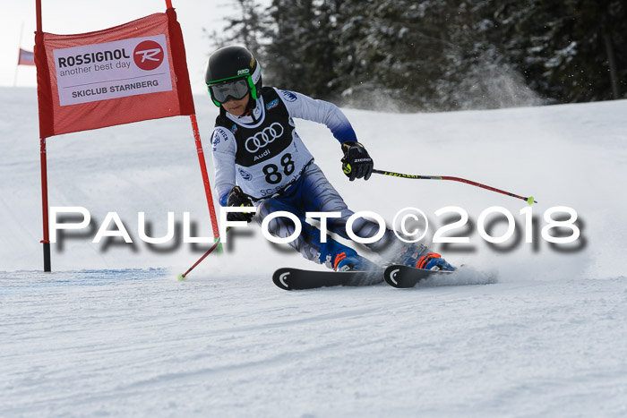 Starnberger Skikreismeisterschaft 2018