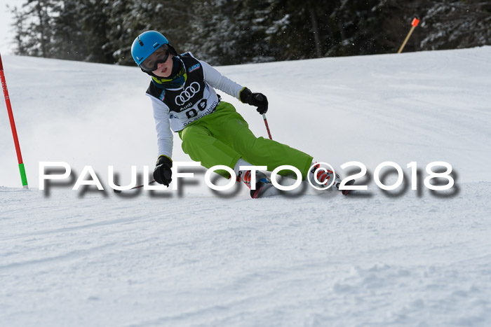 Starnberger Skikreismeisterschaft 2018