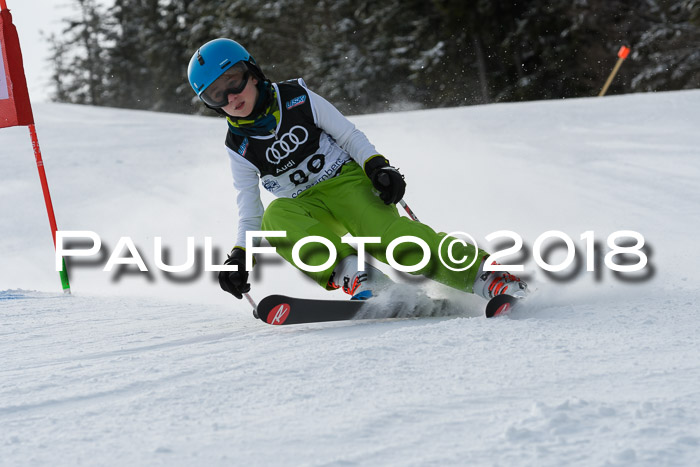 Starnberger Skikreismeisterschaft 2018