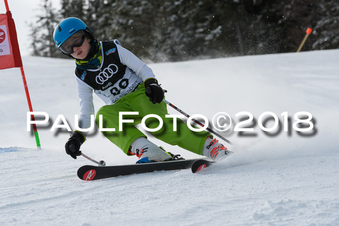 Starnberger Skikreismeisterschaft 2018