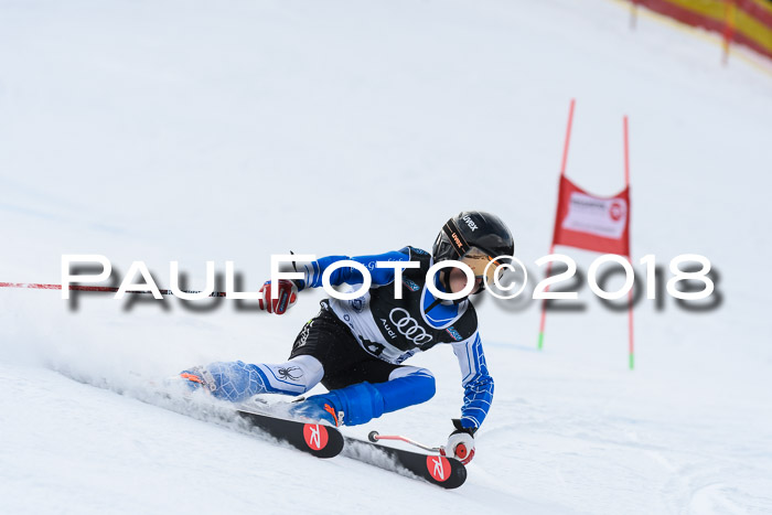 Starnberger Skikreismeisterschaft 2018