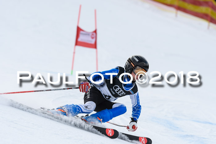 Starnberger Skikreismeisterschaft 2018
