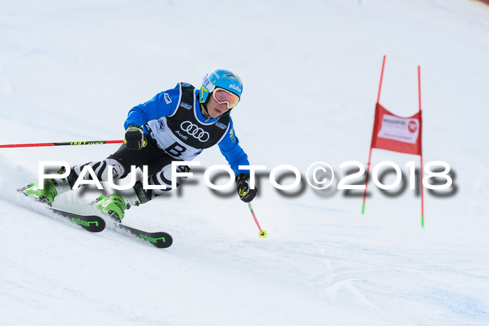Starnberger Skikreismeisterschaft 2018