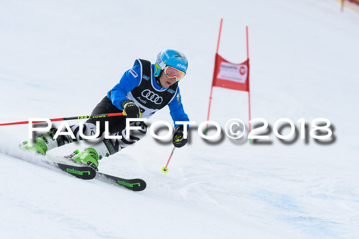 Starnberger Skikreismeisterschaft 2018