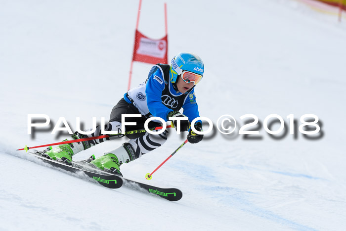 Starnberger Skikreismeisterschaft 2018