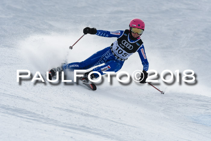 Starnberger Skikreismeisterschaft 2018