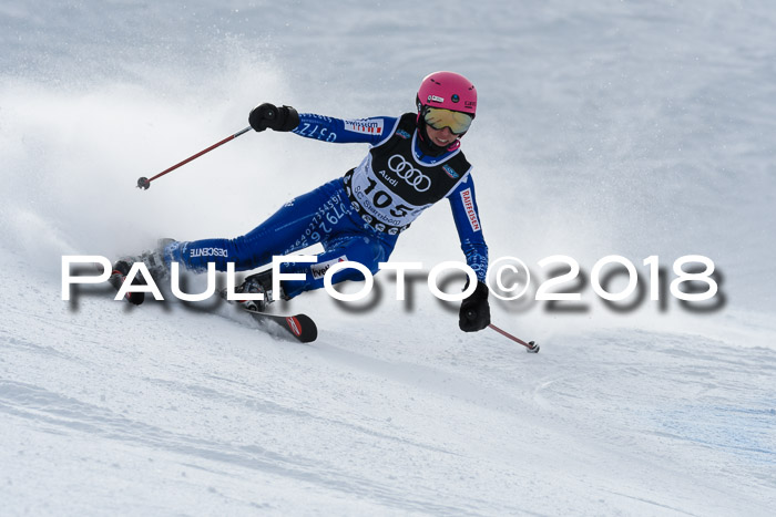 Starnberger Skikreismeisterschaft 2018