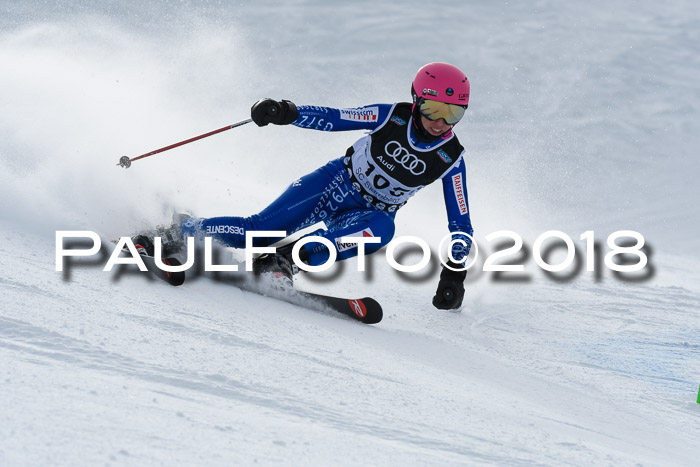 Starnberger Skikreismeisterschaft 2018