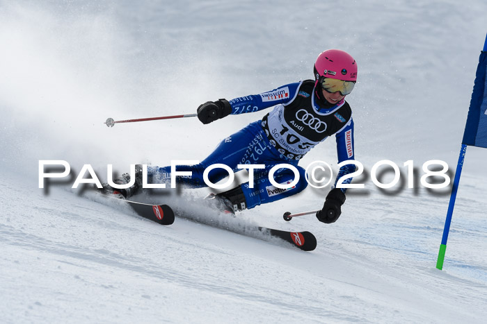 Starnberger Skikreismeisterschaft 2018