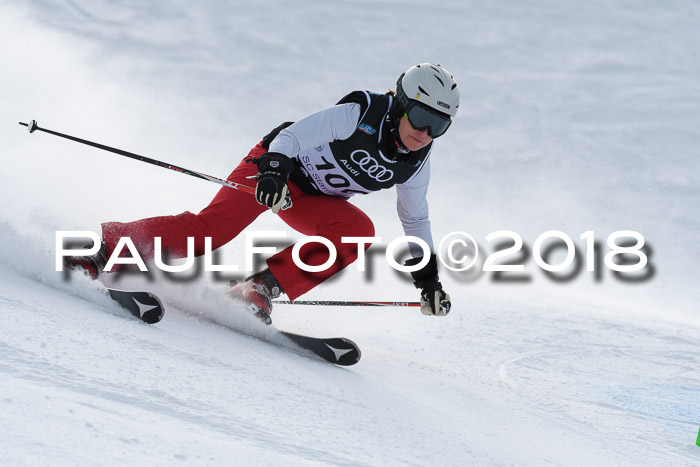 Starnberger Skikreismeisterschaft 2018