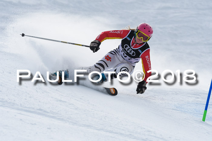 Starnberger Skikreismeisterschaft 2018