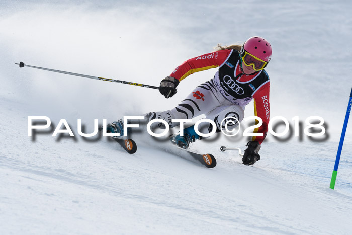 Starnberger Skikreismeisterschaft 2018