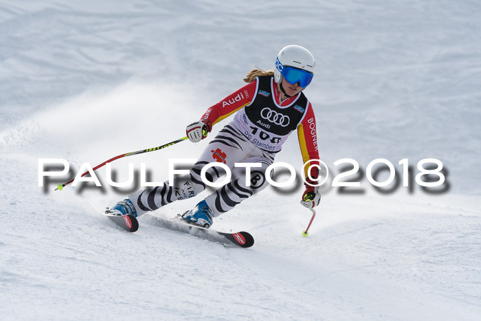 Starnberger Skikreismeisterschaft 2018
