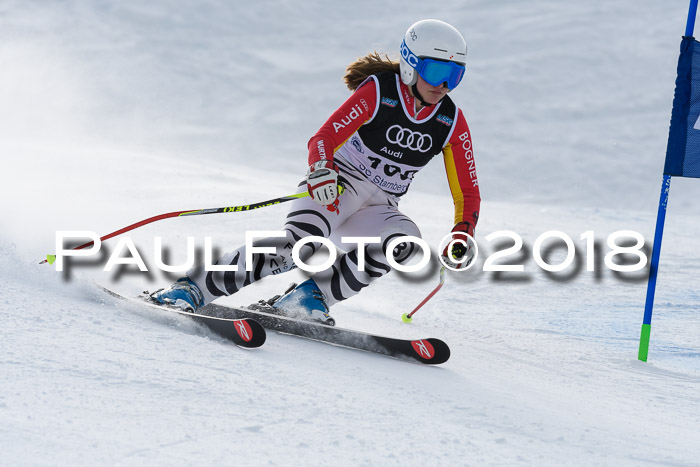 Starnberger Skikreismeisterschaft 2018