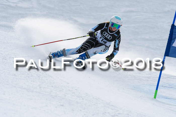 Starnberger Skikreismeisterschaft 2018