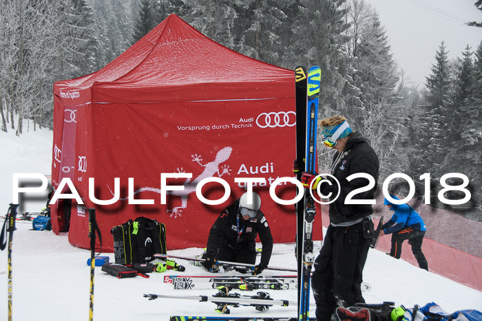 FIS Super-G Herren 08.02.2018