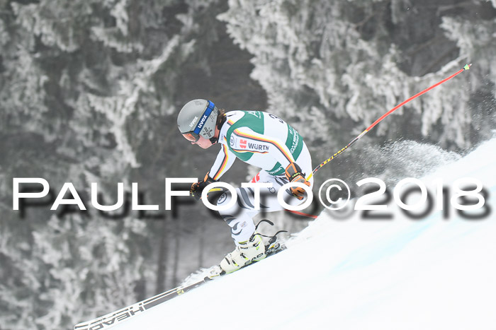 FIS Super-G Herren 08.02.2018