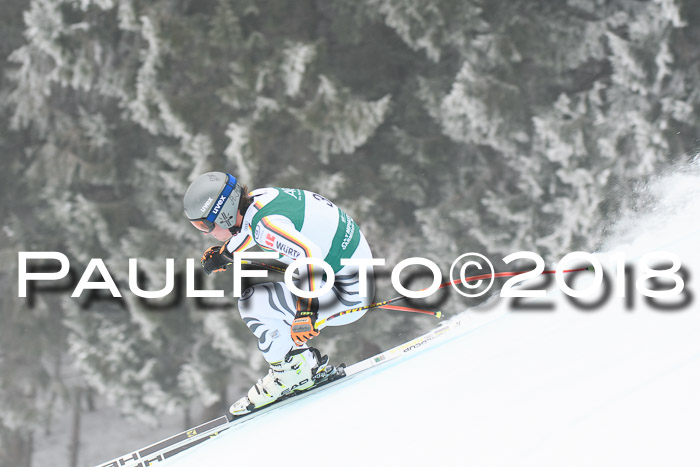 FIS Super-G Herren 08.02.2018