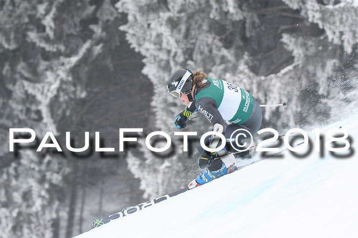 FIS Super-G Herren 08.02.2018